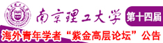 插女人网址南京理工大学第十四届海外青年学者紫金论坛诚邀海内外英才！